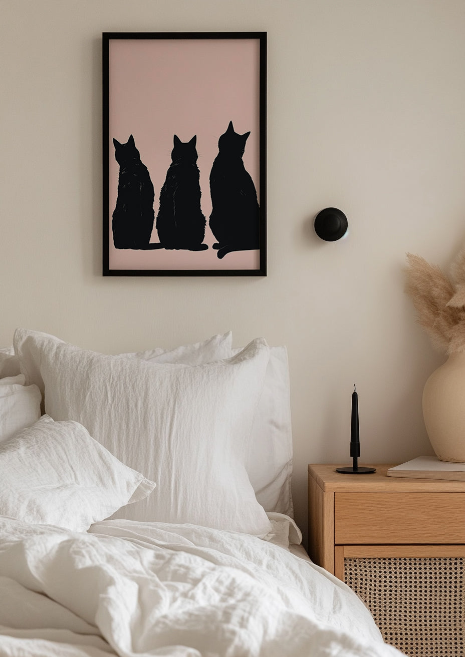 Black Cats Poster